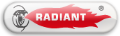 Caldaie Radiant Triste